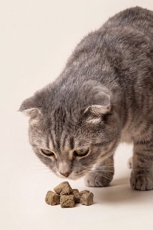 Kito Freeze Dried Tavuk Ciğer Ödül Maması 30 gr (Kediler ve Köpekler için)