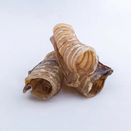 chompo dana trake köpek ödül maması   katkısız 100 gr