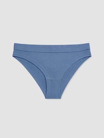 LCW Young Mavi Bikini Külot 3'lü