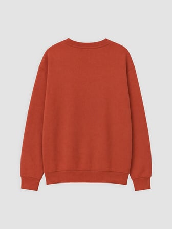 LCW Kids Kahverengi Bisiklet Yaka Sydney Baskılı Erkek Çocuk Sweatshirt
