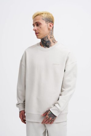 Erkek Basic Diagonal Swearshirt Uzay Grisi