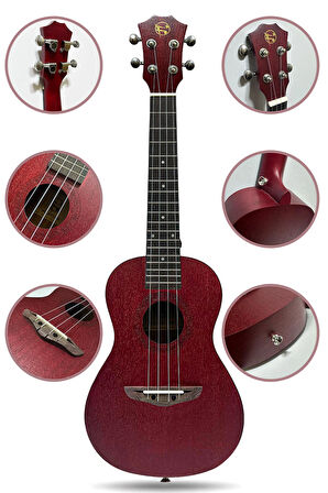 Fourtune Elio UKC-23RD Concert Ukulele Maun Hakiki Ağaç (ÖZEL SERİ)