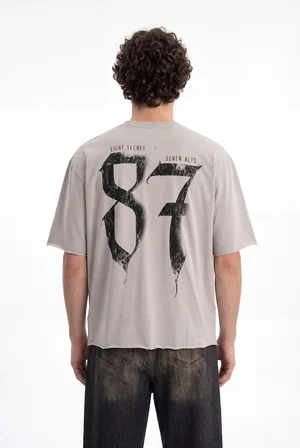 Erkek 87 Baskılı Crop Oversize Tişört Boyama Gri