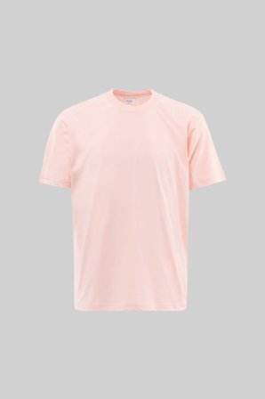 Erkek Basic Relaxed İnce Pamuklu Tişört Toz Pembe