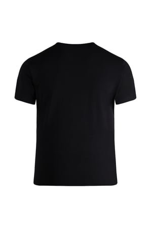 Siyah Regular Fit Bisiklet Yaka Pamuklu Tişört | XXL