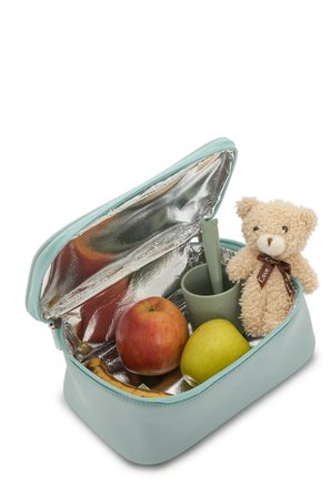 Carry Bliss ThermaPouch Isı Yalıtımlı Organizer Mama ve Atıştırmalık Çantası