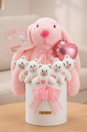 Yenidoğan Kız Bebek Hediyesi – Baby Shower Tavşan Uyku Arkadaşı ve Pembe Peluş Ayıcık Buketi
