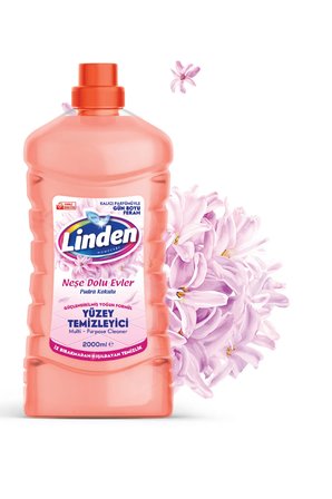 Yüzey Temizleyici Pudra 2000 ml