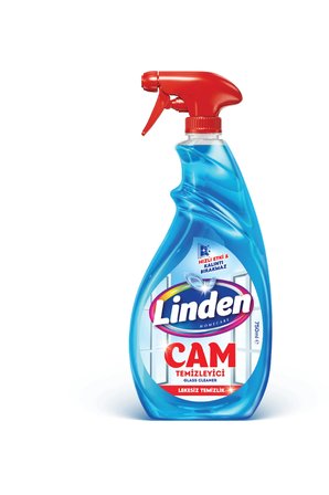 Cam Yüzey Temizleyici Sprey 750 ml