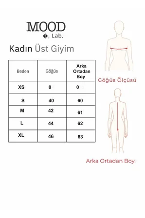 Kadın 2'li Basic Uzun Kol Bisiklet Yaka Likrasız Slim Fit Tişört
