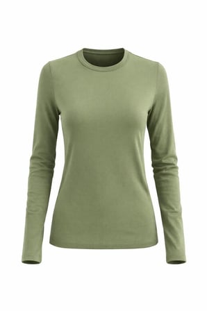 Kadın 2'li Basic Uzun Kol Bisiklet Yaka Likrasız Slim Fit Tişört