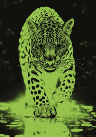 Art Puzzle Mavi Jaguar 1000 Parça Neon Puzzle
