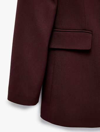 Regular Fit Uzun Kollu Cep Detaylı Düğmeli Viskon Karışımlı Blazer Ceket