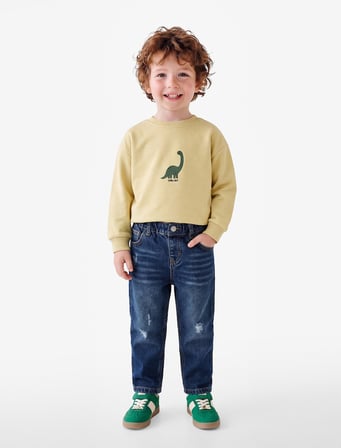 Dinozor Baskılı Şardonlu Bisiklet Yaka Uzun Kollu Pamuklu Sweatshirt