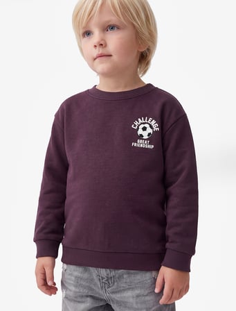 Bisiklet Yaka Uzun Kollu Baskı Detaylı Şardonlu Sweatshirt