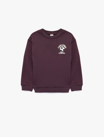 Bisiklet Yaka Uzun Kollu Baskı Detaylı Şardonlu Sweatshirt