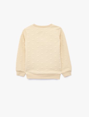 Yıldız Baskılı Bisiklet Yaka Uzun Kollu Sweatshirt