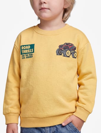 Baskı Detaylı Şardonlu Bisiklet Yaka Uzun Kollu Sweatshirt