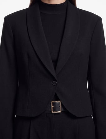 Regular Fit Geniş Yaka Uzun Kollu Düğmeli Blazer Ceket