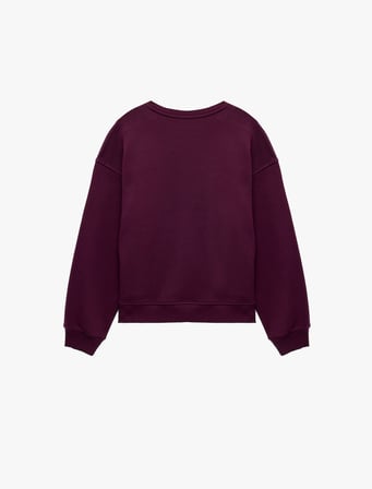 Rahat Kalıp Şardonlu Bisiklet Yaka Uzun Kollu Ayıcık Nakışlı Sweatshirt