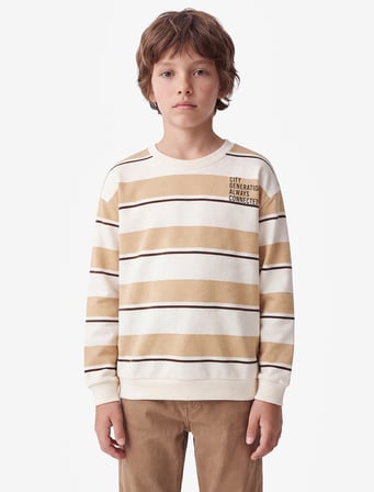 Regular Fit Bisiklet Yaka Uzun Kollu Çizgili Baskılı Sweatshirt