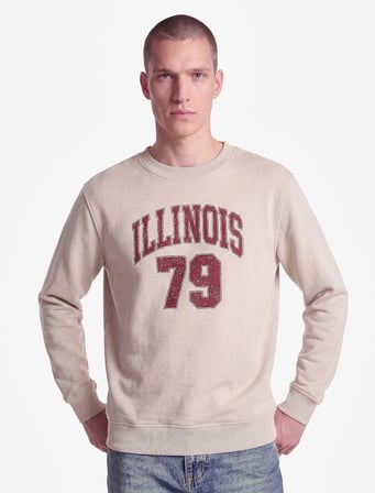 Üç İplik Şardonlu Uzun Kollu Bisiklet Yaka Baskılı Sweatshirt