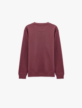 Uzun Kollu Üç İplik Şardonlu Nakışlı Bisiklet Yaka Sweatshirt