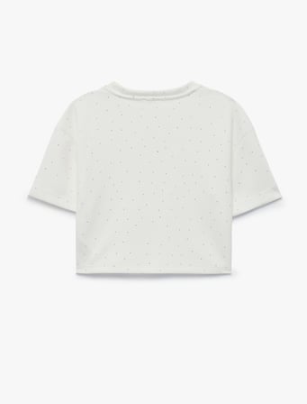 Taş Detaylı Viskon Karışımlı Bisiklet Yaka Kısa Kollu Crop Bluz