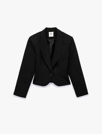 Düğmeli Geniş Yaka Uzun Kollu Crop Blazer Ceket