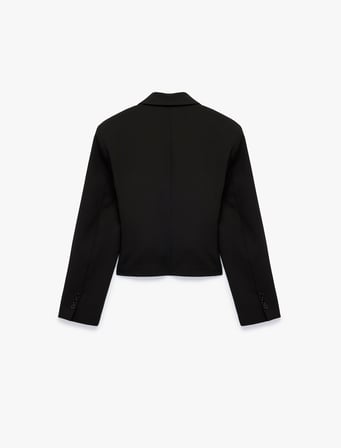 Düğmeli Geniş Yaka Uzun Kollu Crop Blazer Ceket