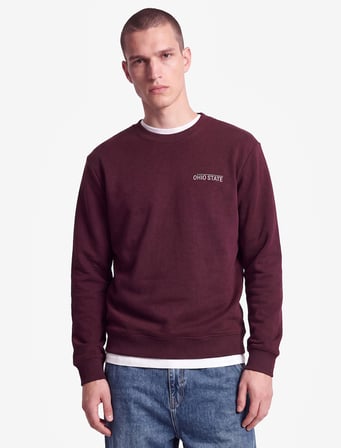 Üç İplik Şardonlu Uzun Kollu Bisiklet Yaka Baskılı Sweatshirt