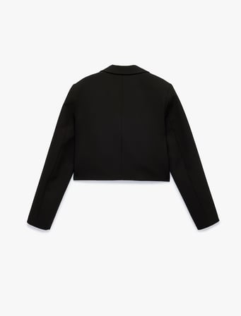 Düğmeli Geniş Yaka Uzun Kollu Crop Blazer Ceket