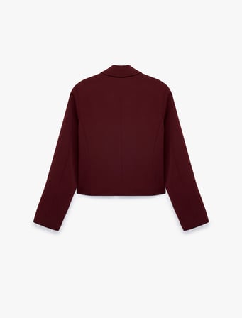 Klasik Yaka Uzun Kollu Mürdüm Rengi Crop Blazer Ceket