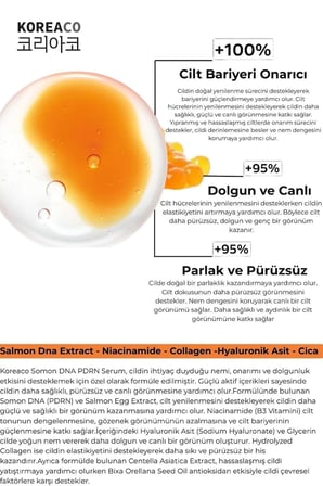 Somon DNA PDRN Glass Skin | NAD+ Cildi Gençleştirmeye Yardımcı Yüz Serumu 30 ml