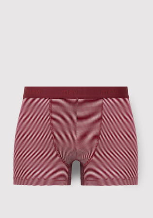 3lü Çizgili Boxer 0912467-70720