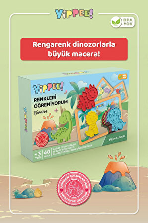 Renkleri Öğreniyorum Dinozor - Renk Eşleştirme Eğitici Oyun Seti