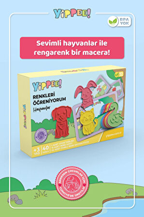 Renkleri Öğreniyorum Evcil Hayvanlar - Renk Eşleştirme Eğitici Oyun Seti