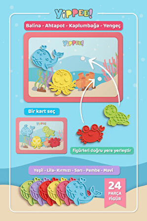 Renkleri Öğreniyorum Okyanus Canlıları - Renk Eşleştirme Eğitici Oyun Seti