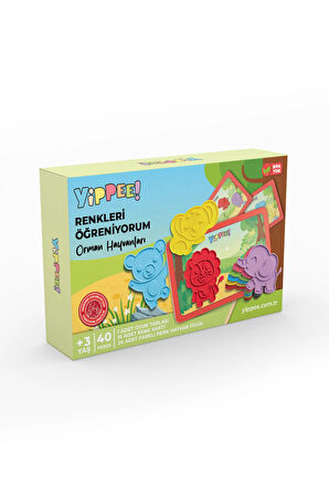 Renkleri Öğreniyorum Orman Hayvanları - Renk Eşleştirme Eğitici Oyun Seti