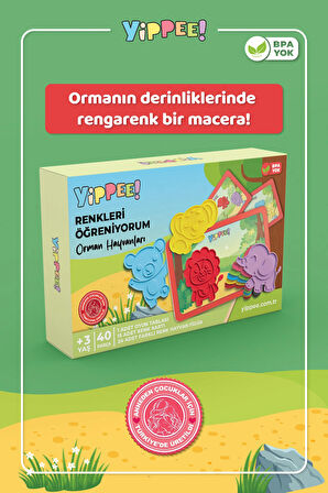 Renkleri Öğreniyorum Orman Hayvanları - Renk Eşleştirme Eğitici Oyun Seti