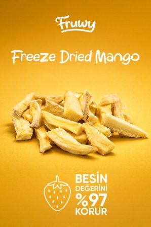 Freeze Dried Mango Kova (Dondurularak Kurutulmuş Mango)