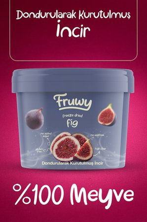 Freeze Dried İncir Kova (Dondurularak Kurutulmuş İncir)