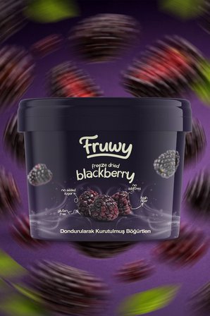 Freeze Dried Böğürtlen Kova (Dondurularak Kurutulmuş Böğürtlen)