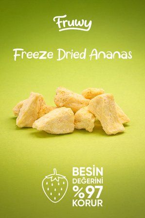 Freeze Dried Ananas Kova (Dondurularak Kurutulmuş Ananas)