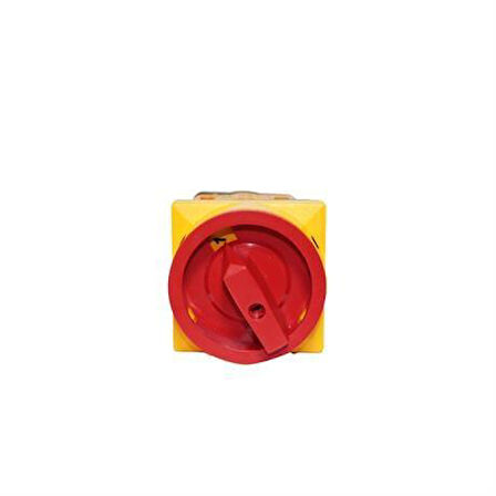 Opaş 2x10A 0-1 Aç-Kapa Kilitli Pako Şalter