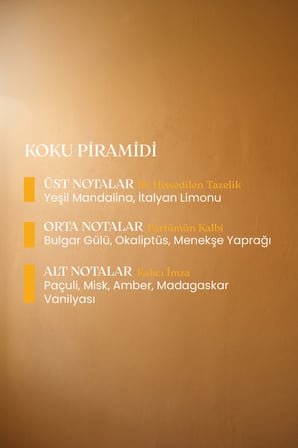 ALN NAB Doree Saç Parfümü 50 ml - Elektriklenme Karşıtı Nemlendirici & Parlatıcı Kalıcı Saç Parfümü