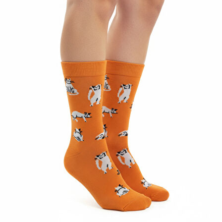 Silver Cat Socks – Desenli Unisex Soket Çorap