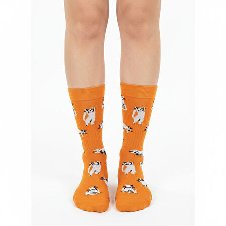 Silver Cat Socks – Desenli Unisex Soket Çorap
