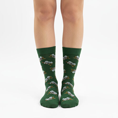 Koala Socks – Desenli Unisex Soket Çorap