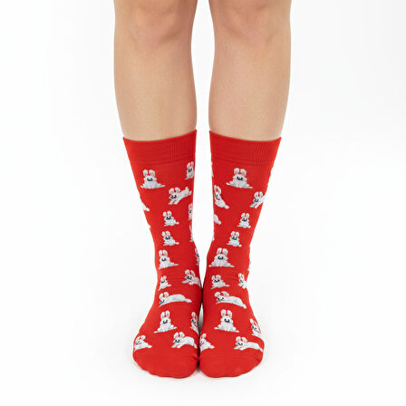 Rabbit Socks – Desenli Unisex Soket Çorap